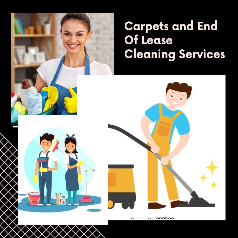 Real Day Reasons To Hire Carpet Steam Cleaning Services In Melbourne