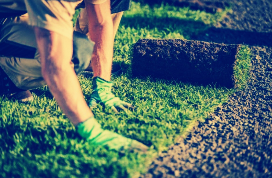Grow Your Landscaping Business: a Guide